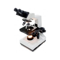 Microscope - Binocular