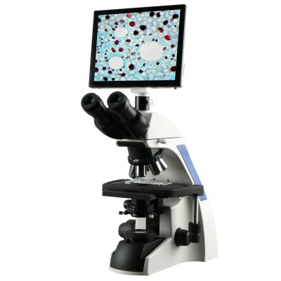 Microscope with Display