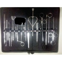 Teat Surgical Kit